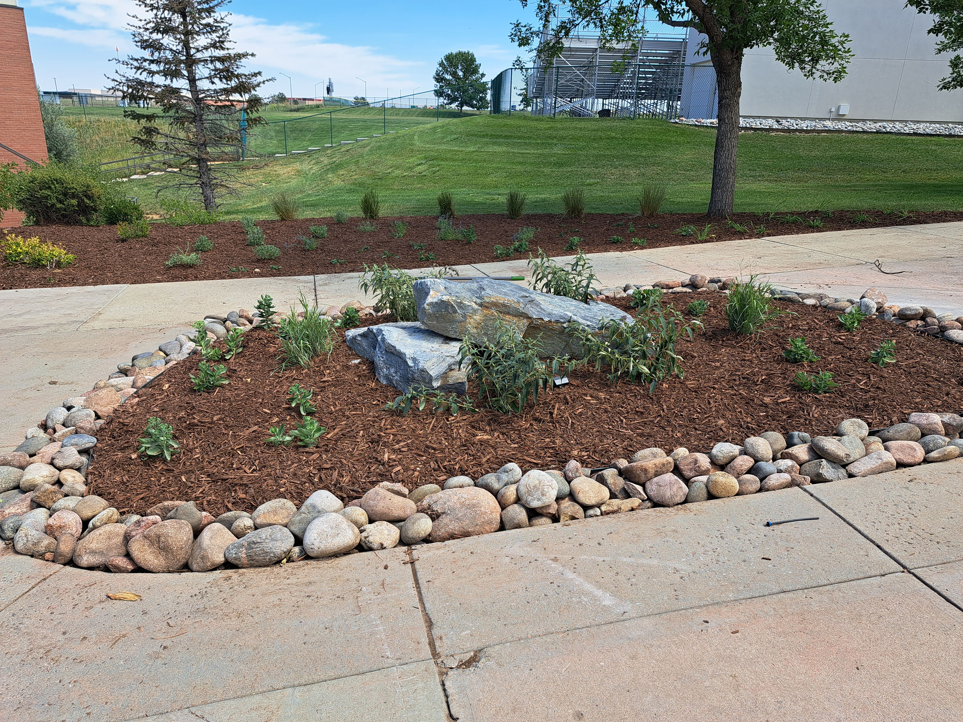 Mulched planting island with shrubs and river-rock border along a sidewalk and lawn.